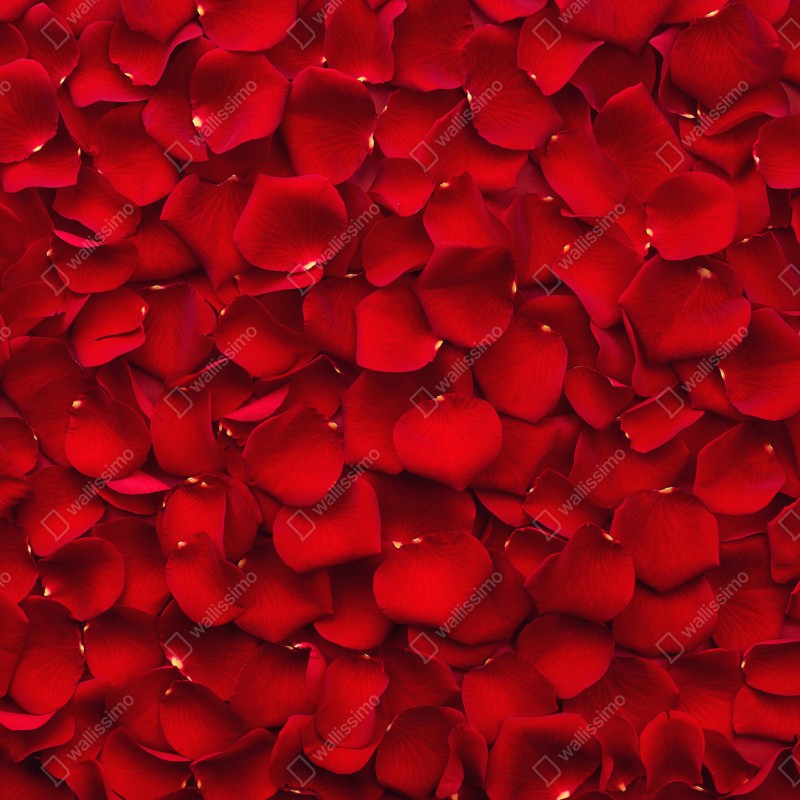 Naklejka na szafę czerwone płatki róż tło – Wallissimo® Naklejka na szafę czerwone płatki róż tło – Wallissimo®