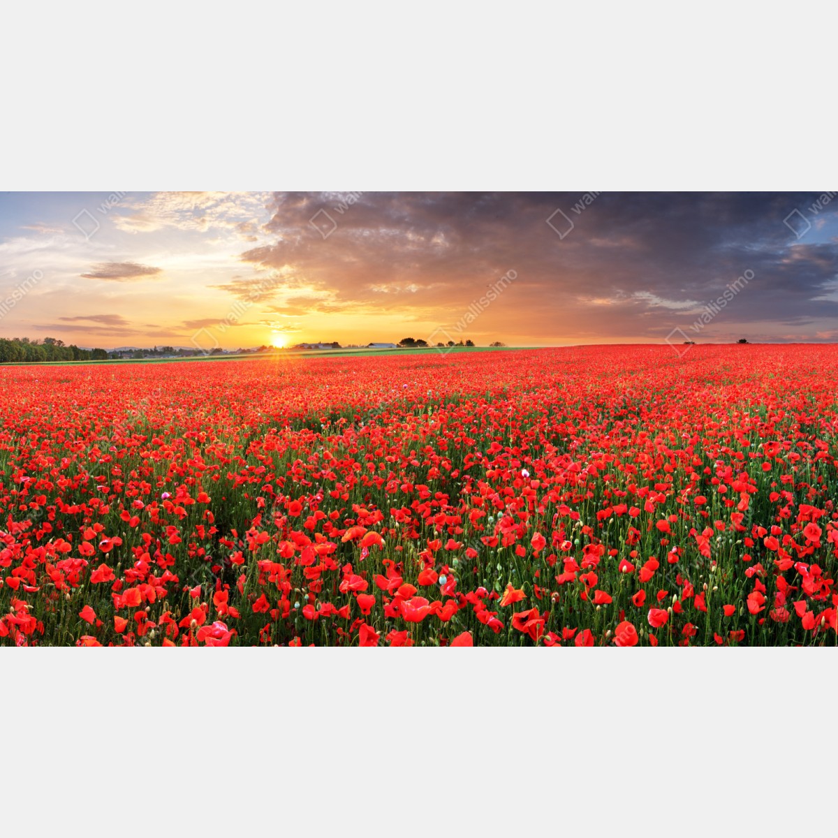 Naklejka na szafę pole maków o zachodzie słońca – Wallissimo® Naklejka na szafę pole maków o zachodzie słońca – Wallissimo®