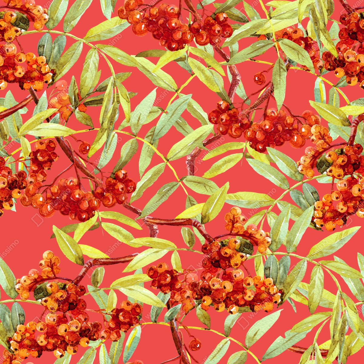 Naklejka na szafę akwarelowy wzór jarzębiny – Wallissimo® Naklejka na szafę akwarelowy wzór jarzębiny – Wallissimo®