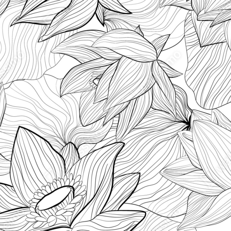 Naklejka na szafę delikatny rysunek lotosu w czerni i bieli – Wallissimo® Naklejka na szafę delikatny rysunek lotosu w czerni i bieli – Wallissimo®