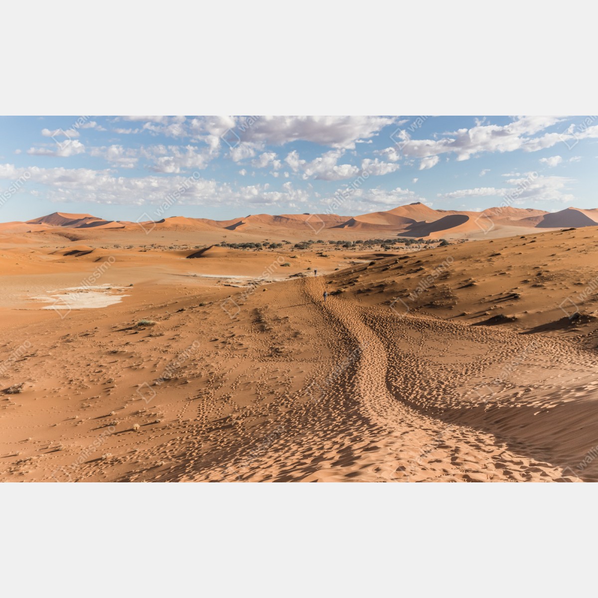 Naklejka na szafę bezgraniczne wydmy pustyni pod błękitnym niebem – Wallissimo® Naklejka na szafę bezgraniczne wydmy pustyni pod błękitnym niebem – Wallissimo®