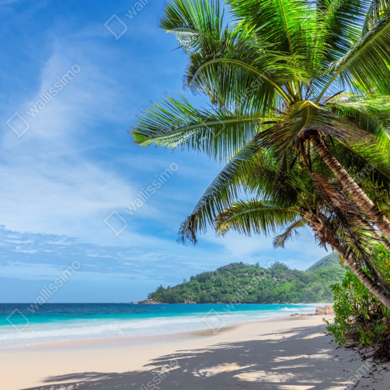 Naklejka na szafę tropikalna plaża z palmami i żaglówką – Wallissimo® Naklejka na szafę tropikalna plaża z palmami i żaglówką – Wallissimo®