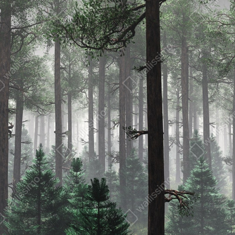 Naklejka na szafę mglisty iglasty las – Wallissimo® Naklejka na szafę mglisty iglasty las – Wallissimo®