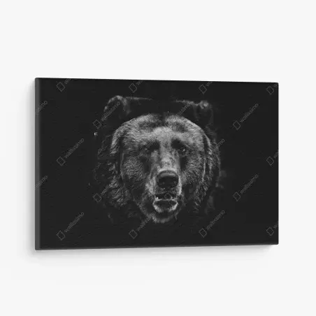 Obraz na płótnie mroczny portret niedźwiedzia grizzly – Wallissimo®