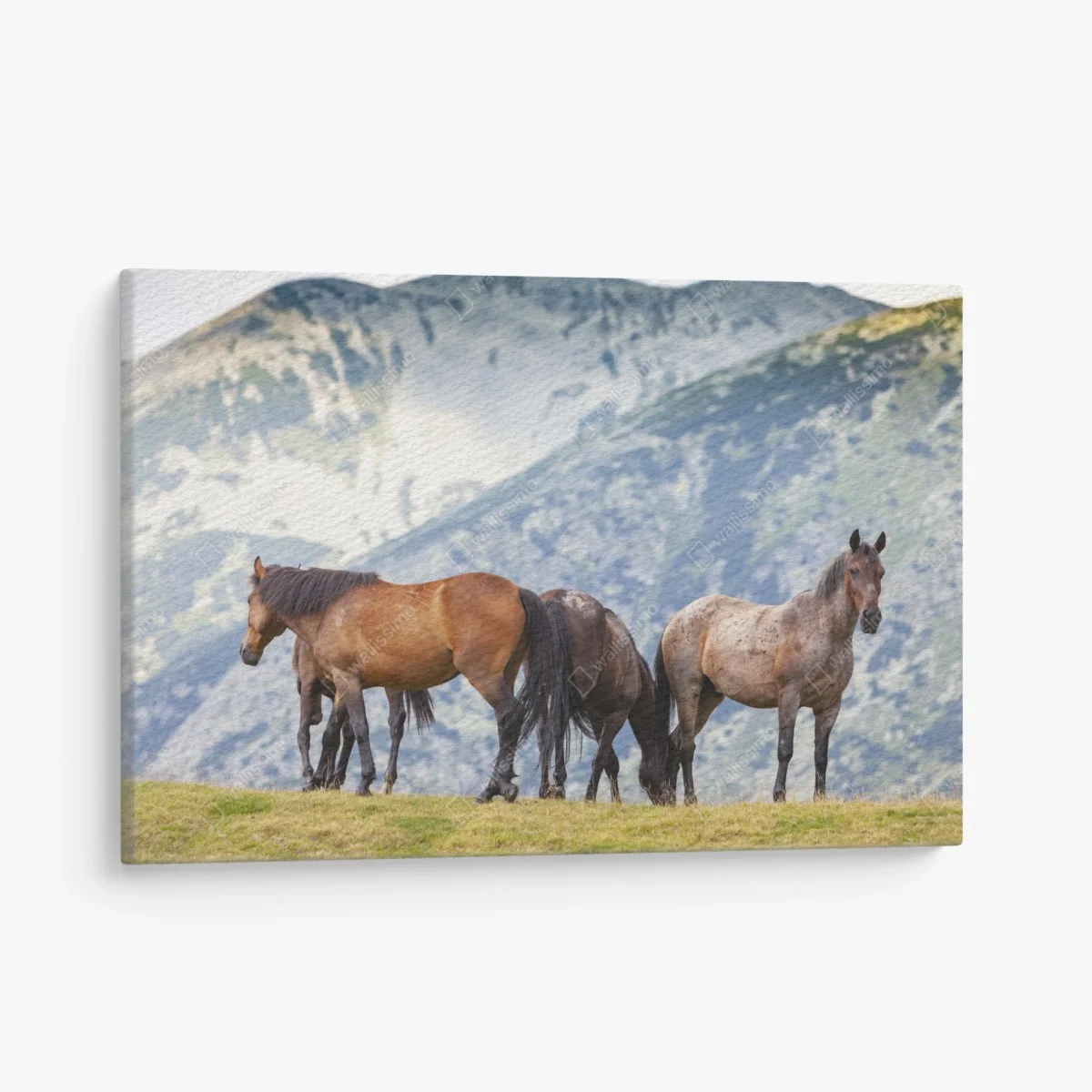 Obraz na płótnie konie na górskiej łące – Wallissimo® Obraz na płótnie konie na górskiej łące – Wallissimo®