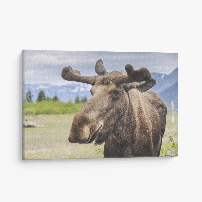 Obraz na płótnie portret łosia na tle gór