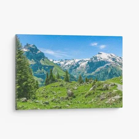 Obraz na płótnie słoneczna łąka w Engelberg – Wallissimo®