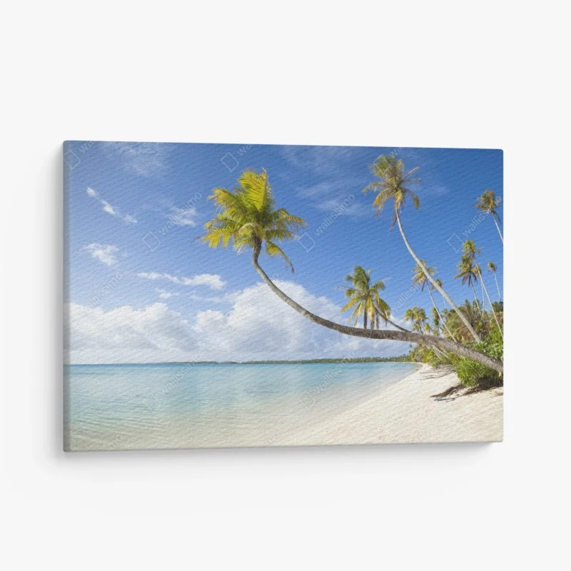 Obraz na płótnie tropikalna turkusowa plaża z pochyloną palmą