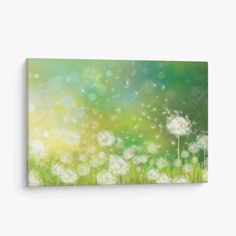 Obraz na płótnie wiosenna łąka dmuchawców