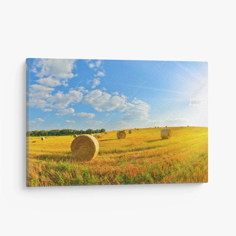 Obraz na płótnie złote pole siana pod błękitnym niebem