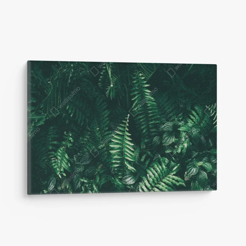 Obraz na płótnie bujne tropikalne liście
