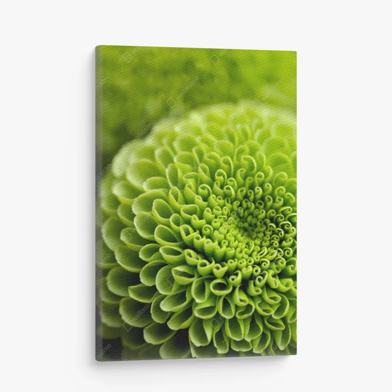 Obraz na płótnie intensywna zielona spirala kwiatowa