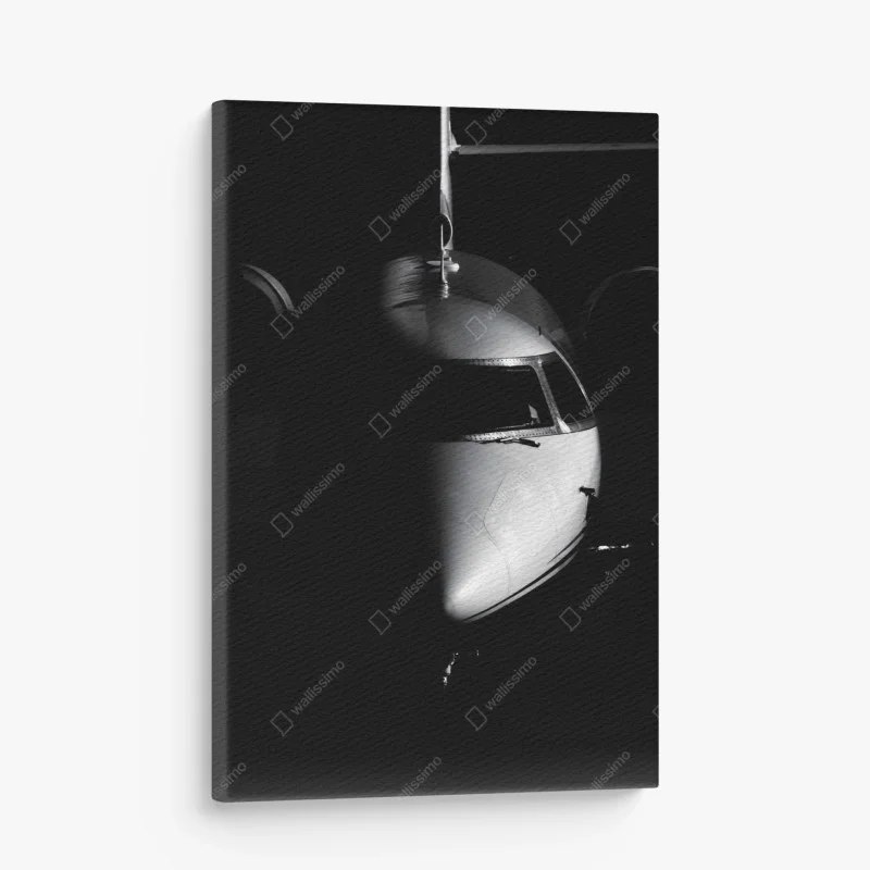 Obraz na płótnie monochromatyczny portret nosa odrzutowca