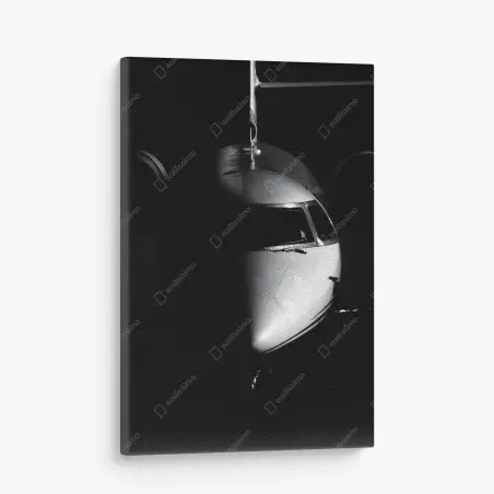 Obraz na płótnie monochromatyczny portret nosa odrzutowca – Wallissimo®