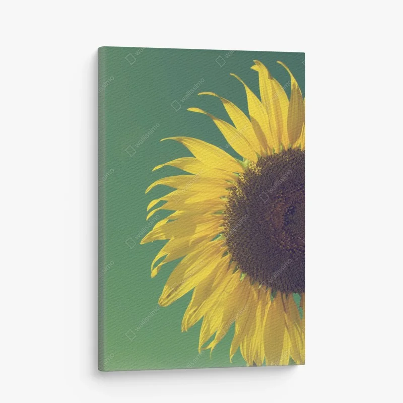 Obraz na płótnie promienny słonecznik na retro niebie