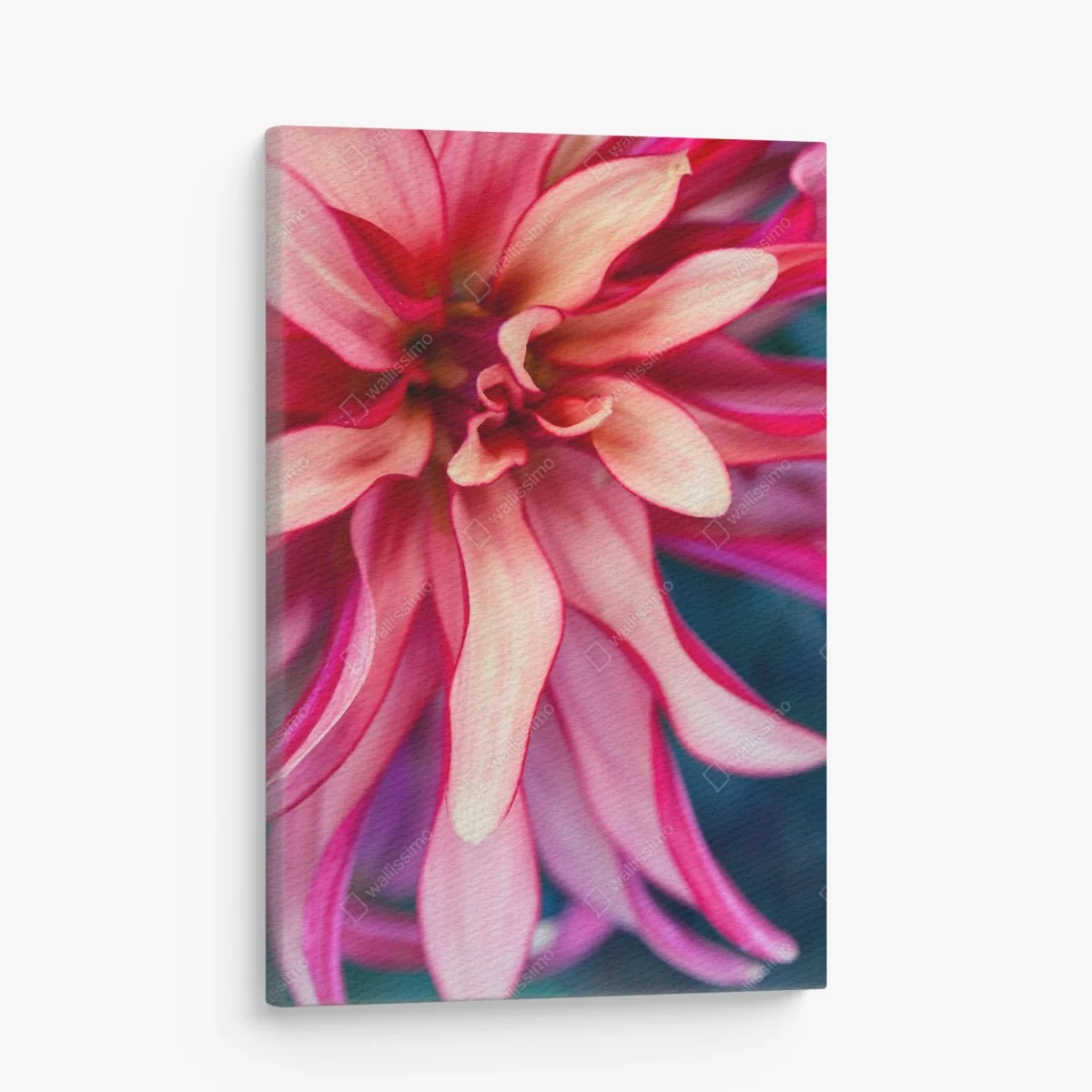 Obraz na płótnie żywe różowe makro kwiatu – Wallissimo® Obraz na płótnie żywe różowe makro kwiatu – Wallissimo®