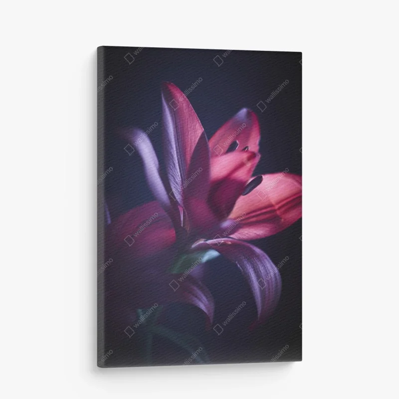 Obraz na płótnie czerwona lilia w półmroku