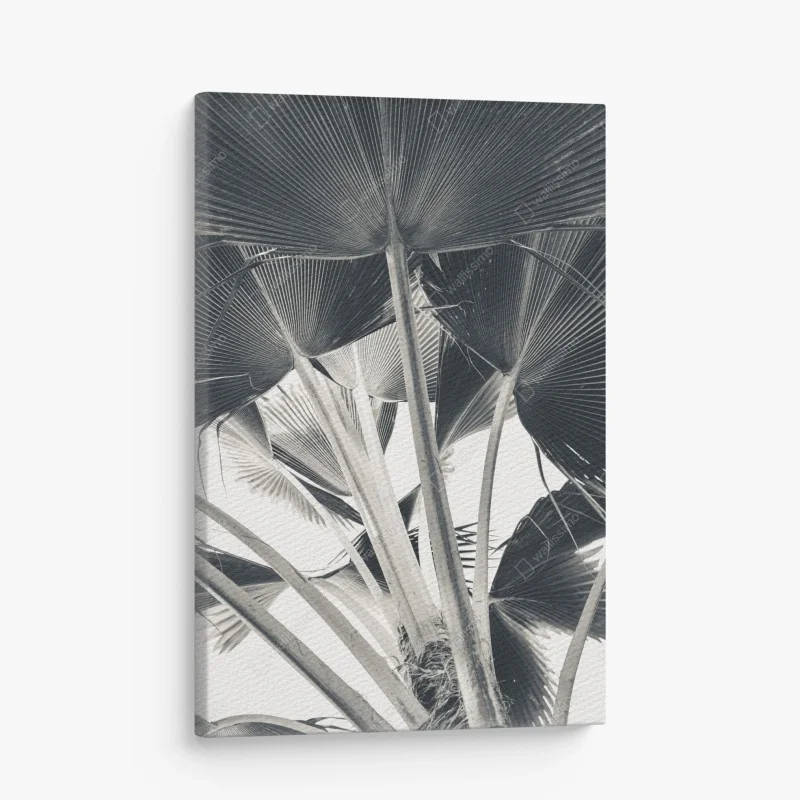 Obraz na płótnie tropikalna kompozycja liści bananowca