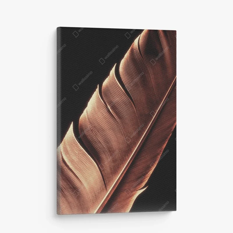 Obraz na płótnie złote pióro makro na czarnym tle