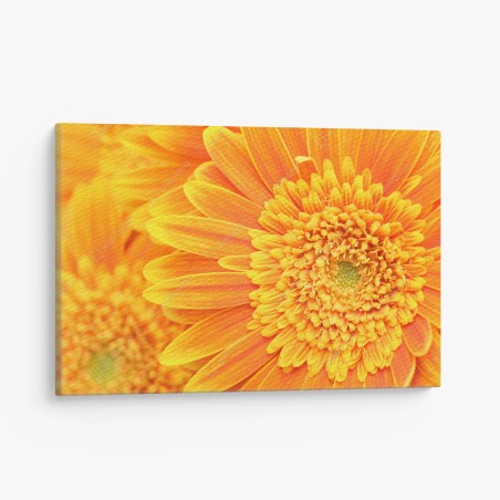 Obraz na płótnie intensywna pomarańczowa gerbera z bliska – Wallissimo®
