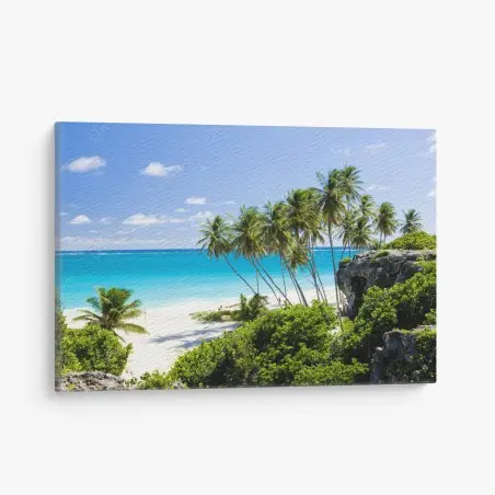 Obraz na płótnie Bottom Bay plaża z palmami, Barbados – Wallissimo®
