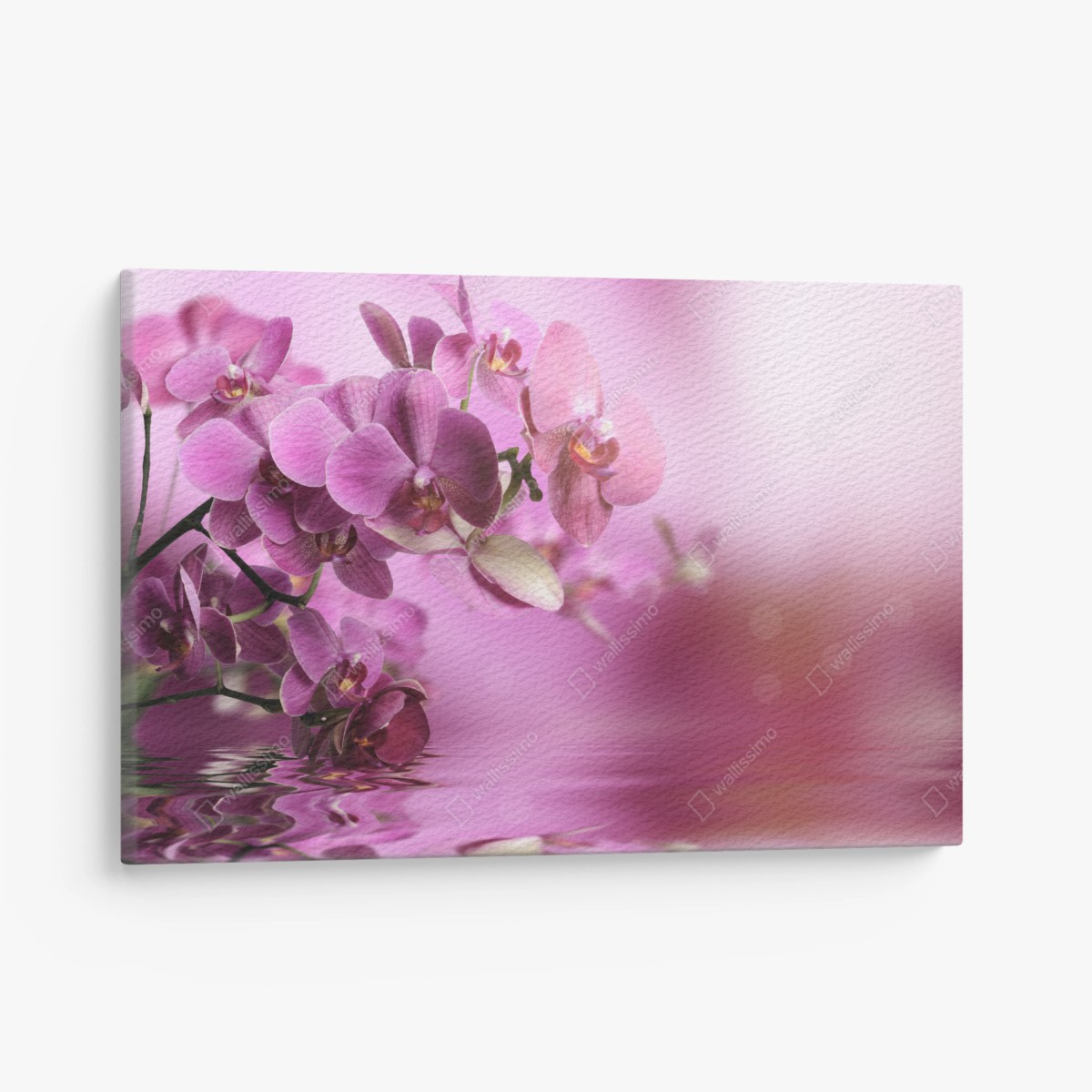Obraz na płótnie różowe orchidee z odbiciem – Wallissimo®