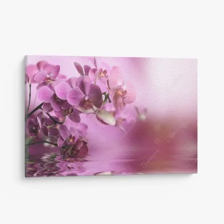 Obraz na płótnie różowe orchidee z odbiciem – Wallissimo®
