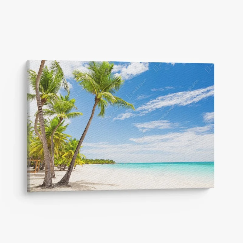 Obraz na płótnie plaża z palmami w Punta Cana