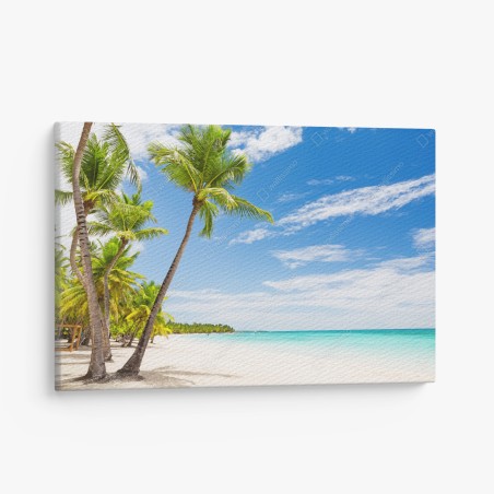 Obraz na płótnie plaża z palmami w Punta Cana – Wallissimo®