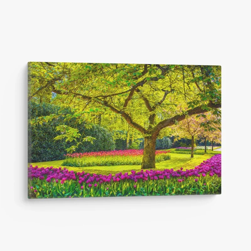 Obraz na płótnie barwny ogród tulipanów w Keukenhof
