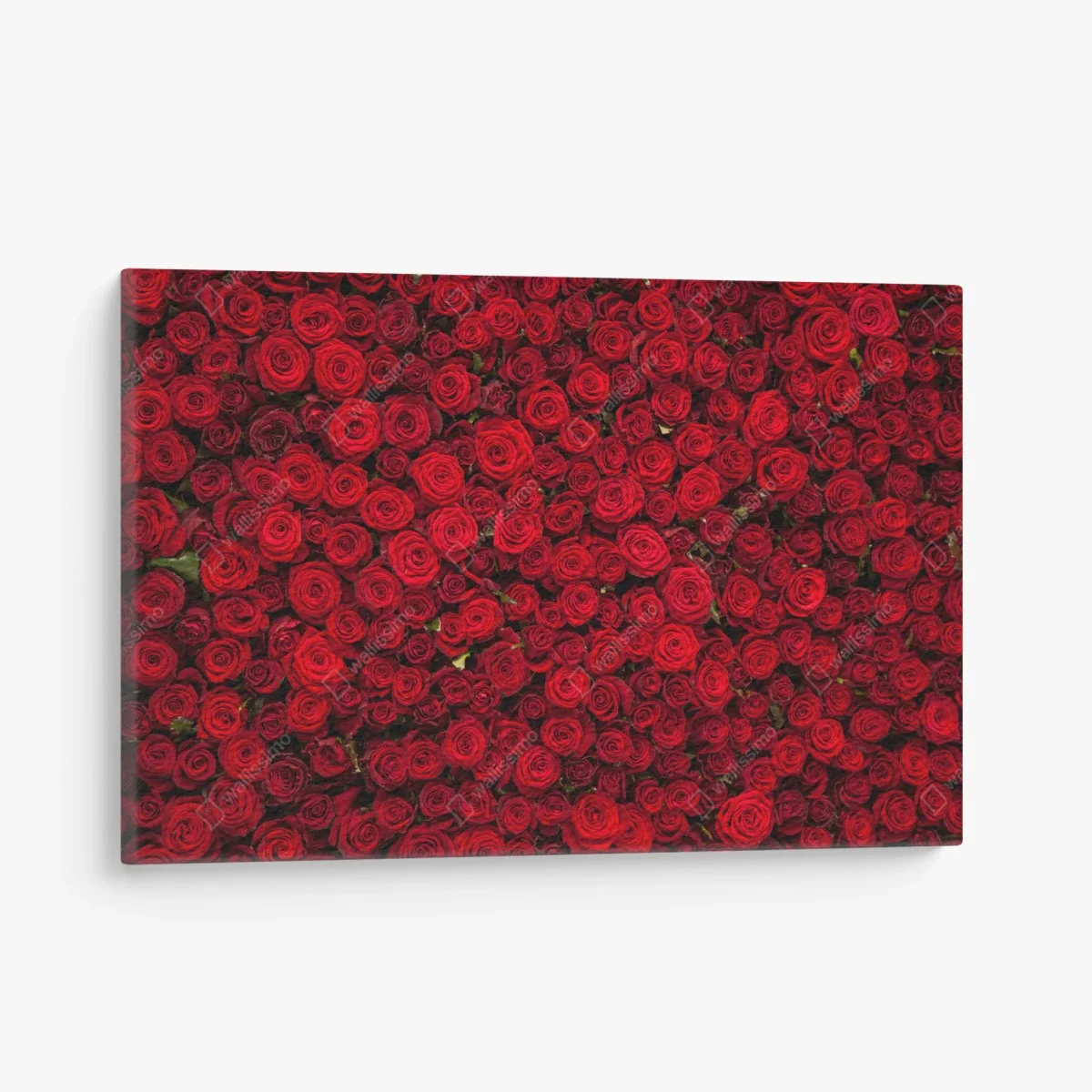 Obraz na płótnie nieskończona ściana czerwonych róż – Wallissimo® Obraz na płótnie nieskończona ściana czerwonych róż – Wallissimo®