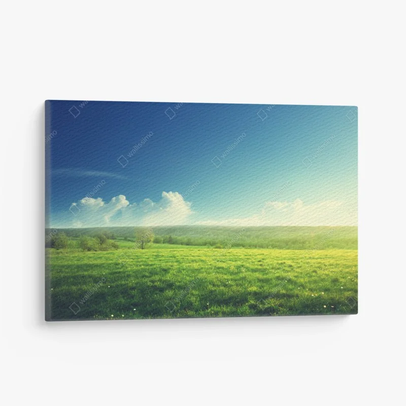 Obraz na płótnie słoneczna wiosenna łąka o zachodzie słońca