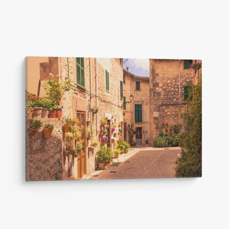 Obraz na płótnie słoneczna uliczka śródziemnomorska z doniczkami
