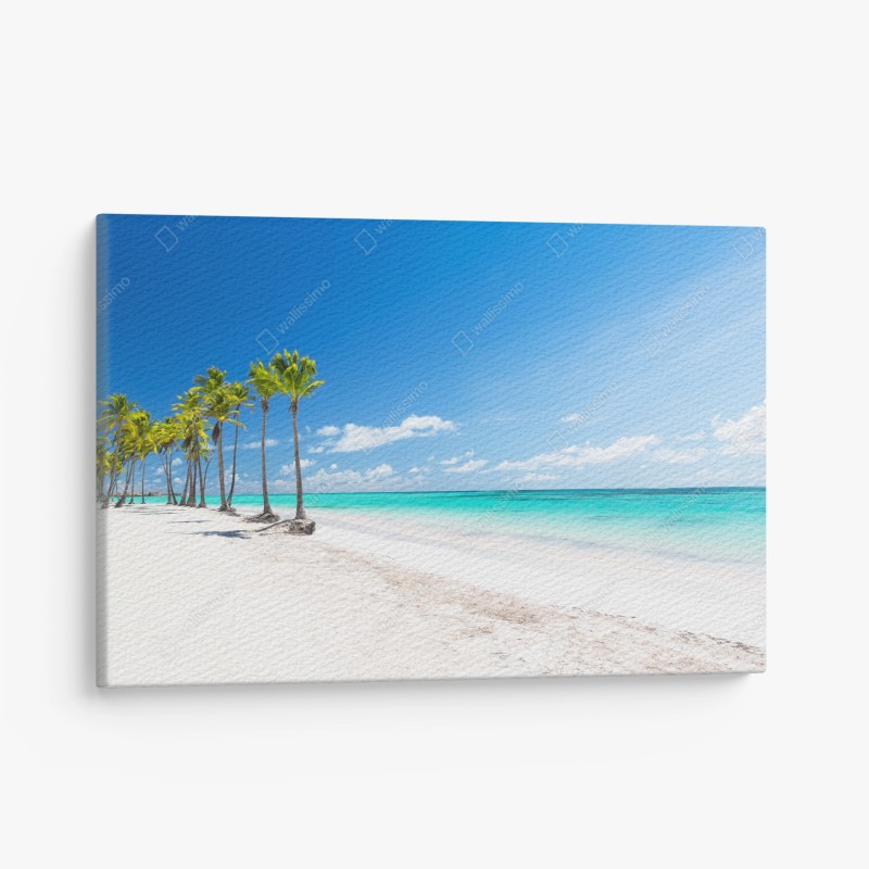Obraz na płótnie palmy na plaży w Punta Cana