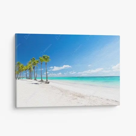Obraz na płótnie palmy na plaży w Punta Cana – Wallissimo®