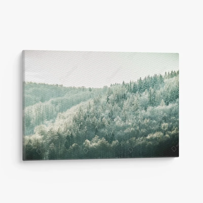 Obraz na płótnie mglisty szronowy las