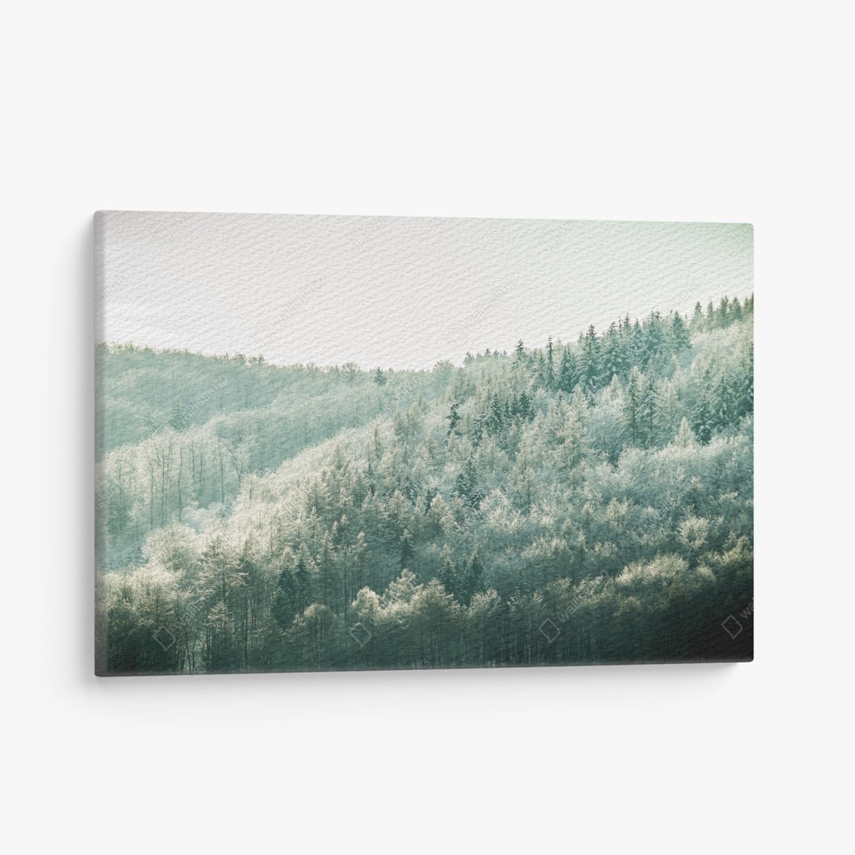 Obraz na płótnie mglisty szronowy las – Wallissimo®