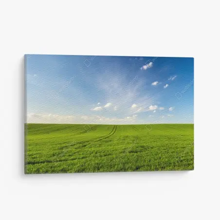 Obraz na płótnie wiosenna zielona panorama łąki – Wallissimo®