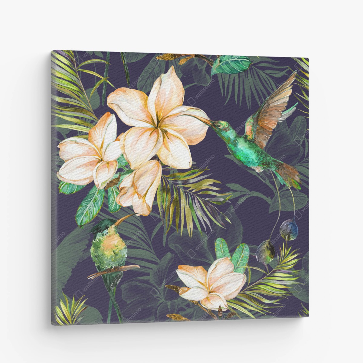 Obraz na płótnie tropikalne kolibry i plumeria w akwareli – Wallissimo®