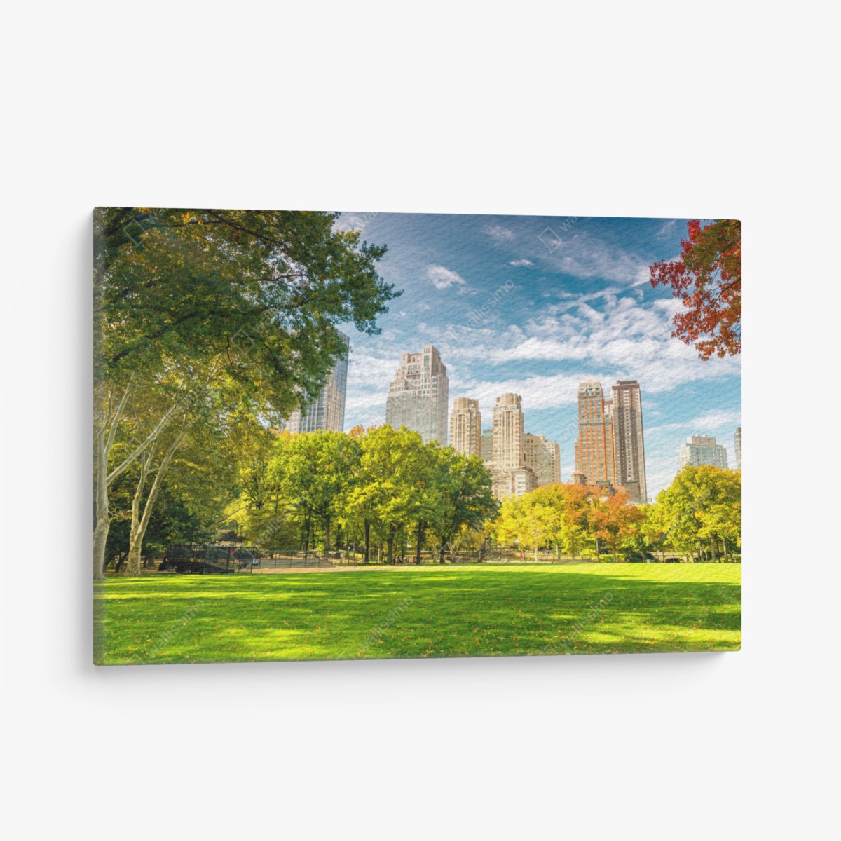 Obraz na płótnie Central Park jesienna panorama – Wallissimo®
