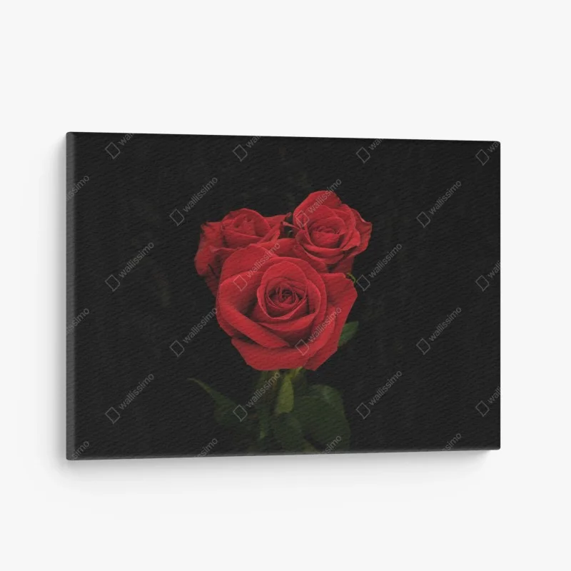 Obraz na płótnie czerwone róże na czarnym tle
