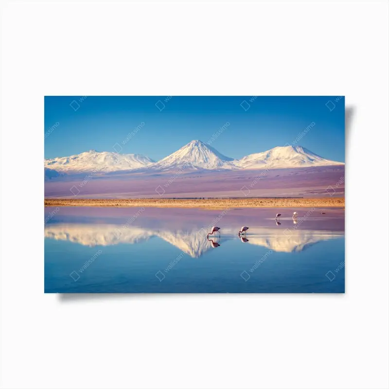Plakat Laguna Chaxa z flamingami i Licancabur – Wallissimo®