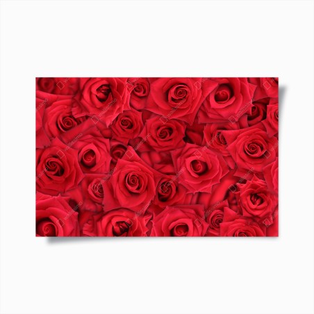 Plakat żywe czerwone róże kolaż – Wallissimo®