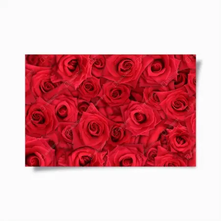 Plakat żywe czerwone róże kolaż – Wallissimo®