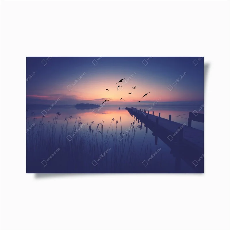 Plakat spokojny wschód nad jeziorem z ptakami