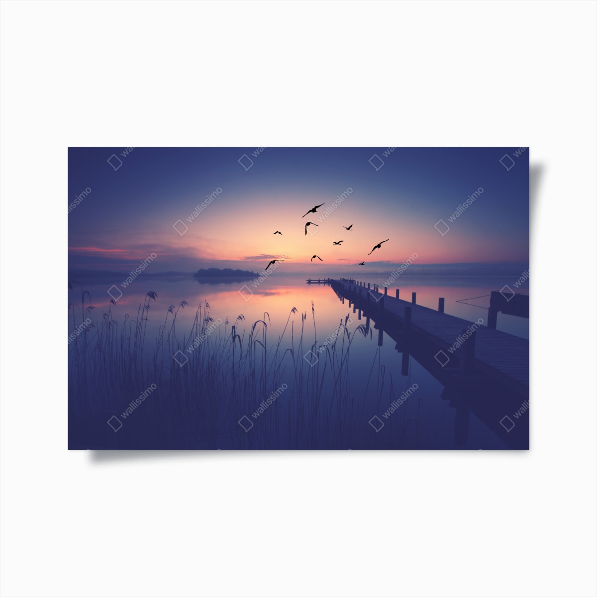 Plakat spokojny wschód nad jeziorem z ptakami – Wallissimo®