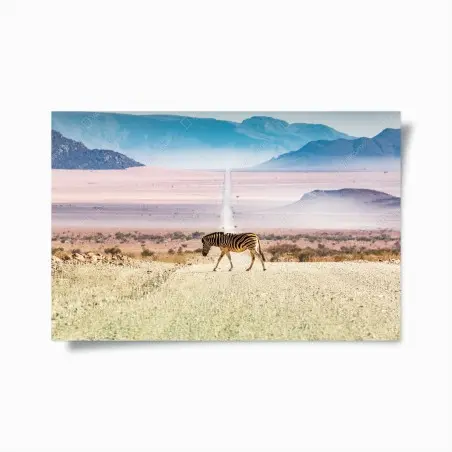 Plakat zebra na pustynnej drodze – Wallissimo®