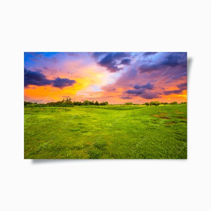 Plakat zachód słońca nad zieloną łąką
