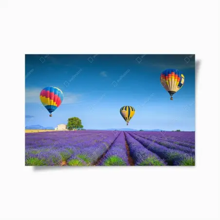 Plakat pola lawendy w Valensole z balonami – Wallissimo®