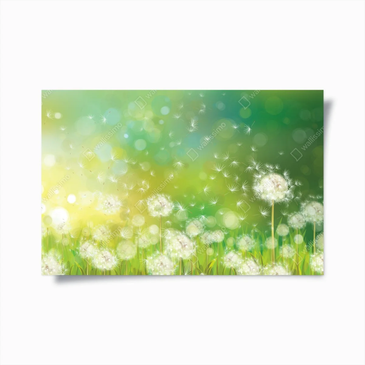 Plakat wiosenna łąka dmuchawców – Wallissimo® Plakat wiosenna łąka dmuchawców – Wallissimo®